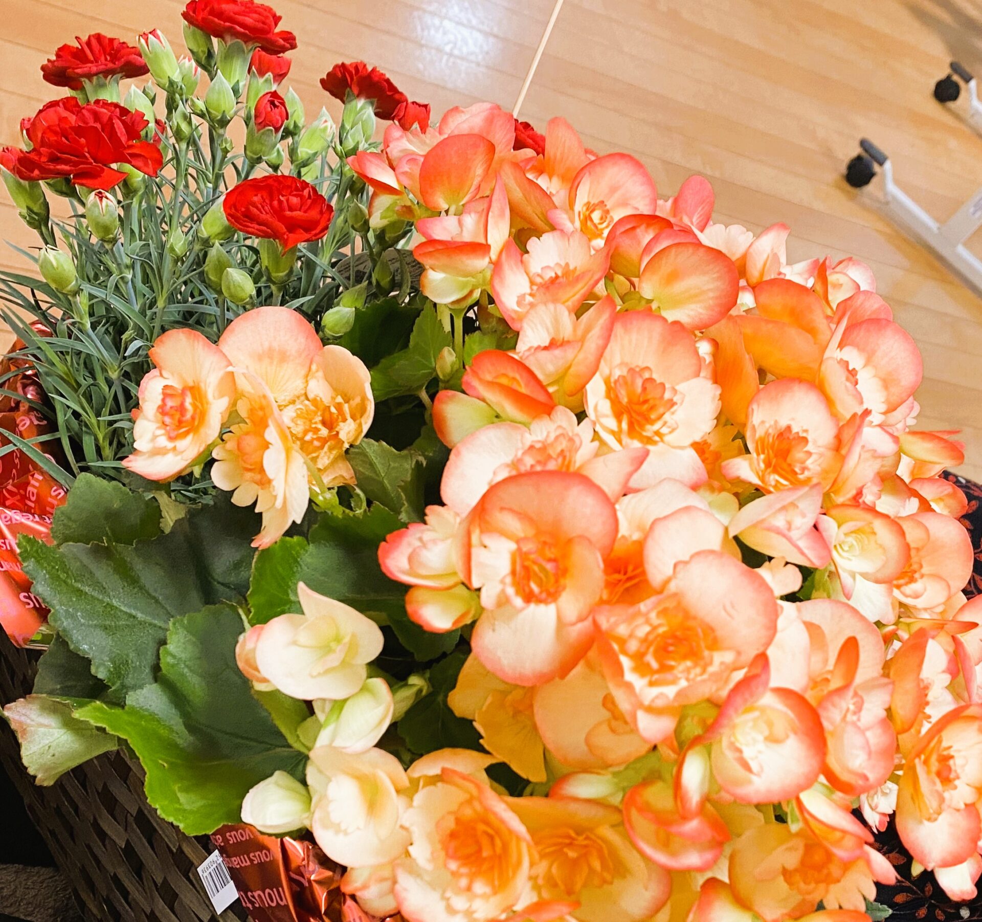 Image：有料老人ホームフローラ/デイサービスすずらん