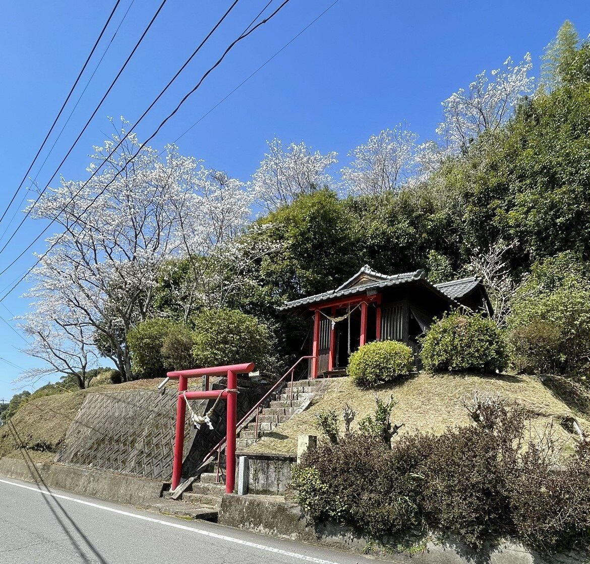 Image:有料老人ホームフローラ