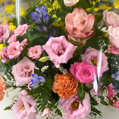 Image：有料老人ホームフローラ/デイサービスすずらん