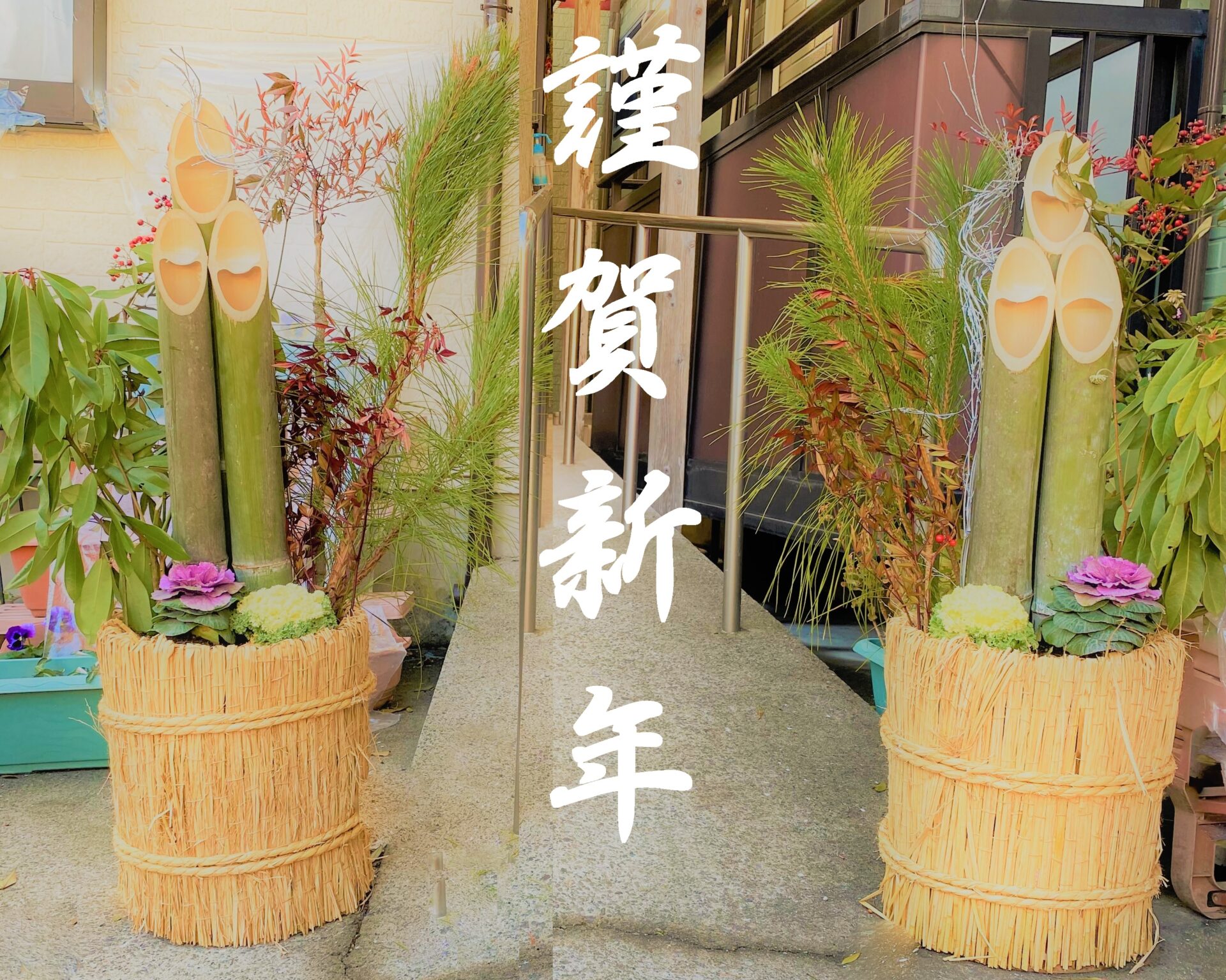 Image：有料老人ホームメゾンフローラ